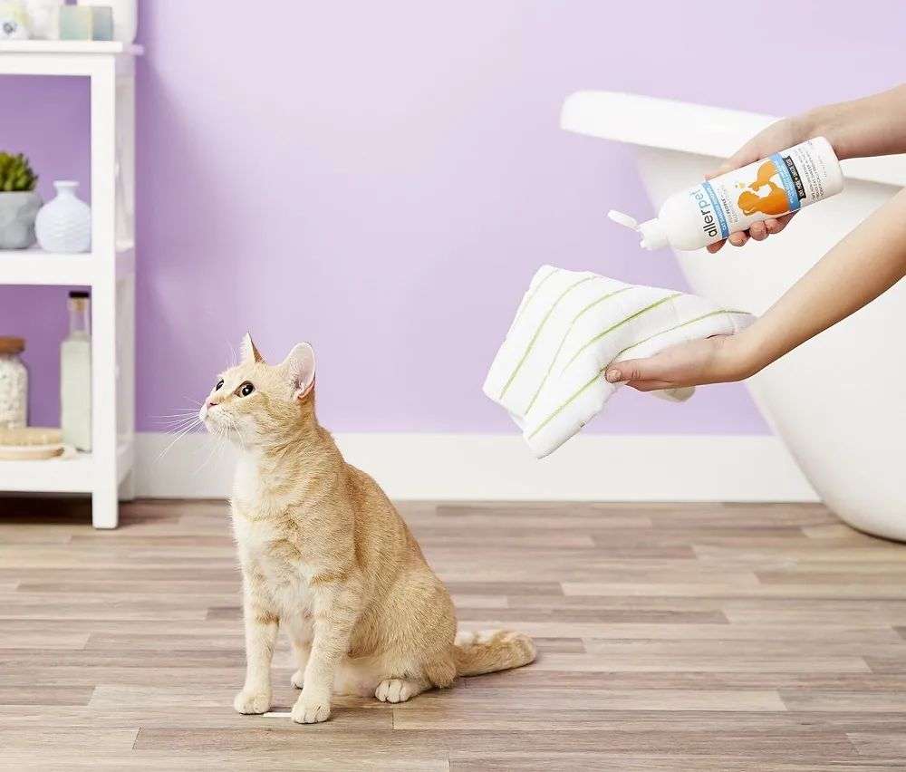 國內外巨頭相繼入局，寵物洗護品成為新的掘金賽道？