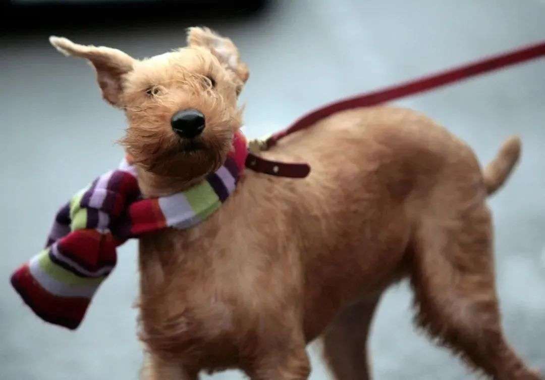 看一眼你的頭發(fā)，就知道洗發(fā)水買(mǎi)錯了